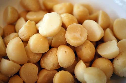 macadamia nuts close up