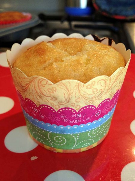 single muffin