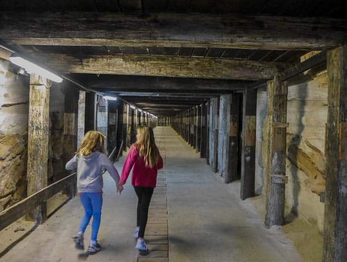 things to do in sydney with kids cockatoo island