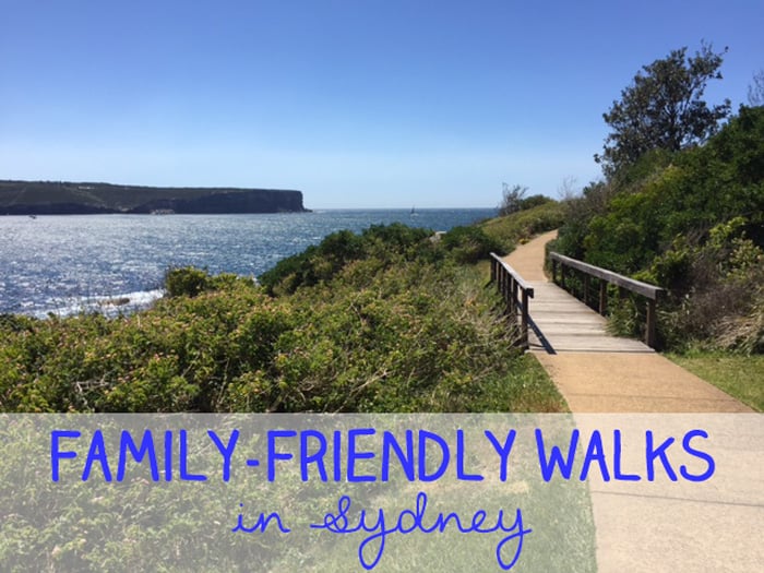 kid friendly bush walks Sydney