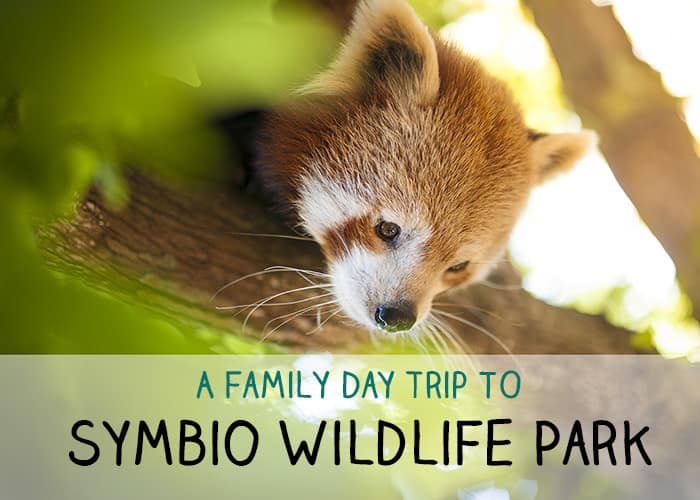 Symbio Wildlife Park family day trip mini