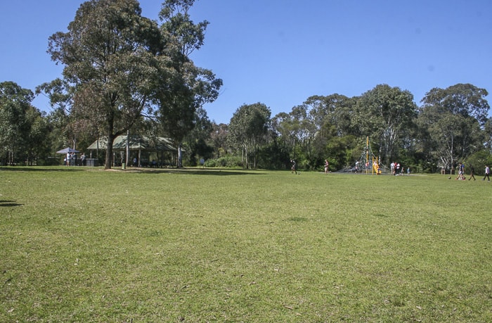 Nurragingy Reserve playground _5