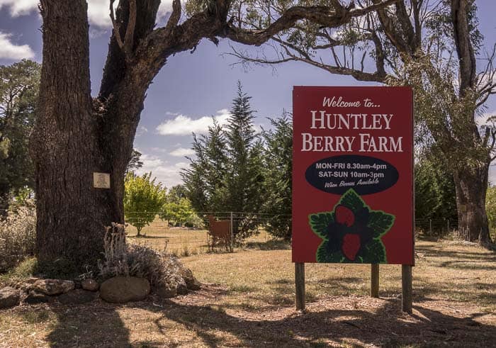 Huntley Berry Farm 10