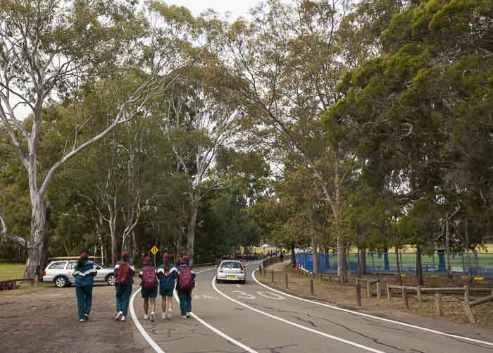 Parramatta Park stroller walk 1