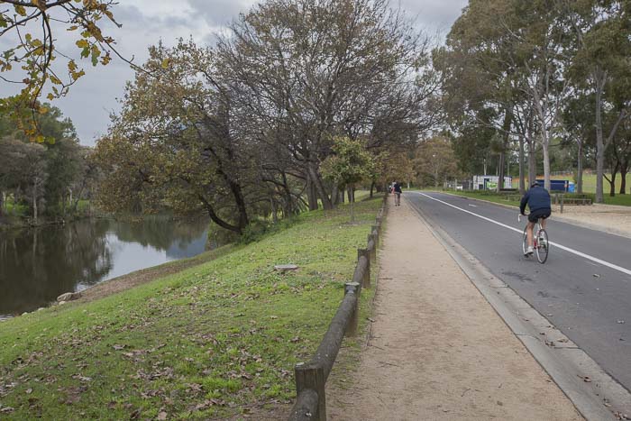 Parramatta Park stroller walk 1