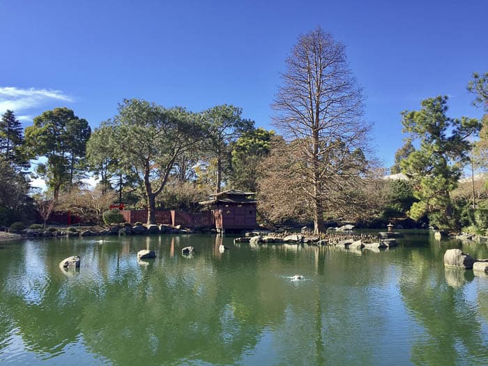 Auburn Botanic Garden Japanese Garden