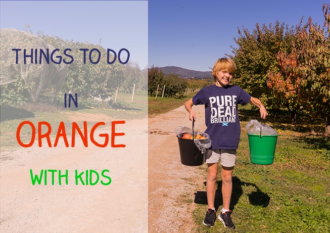 Things to do in Orange NSW with children