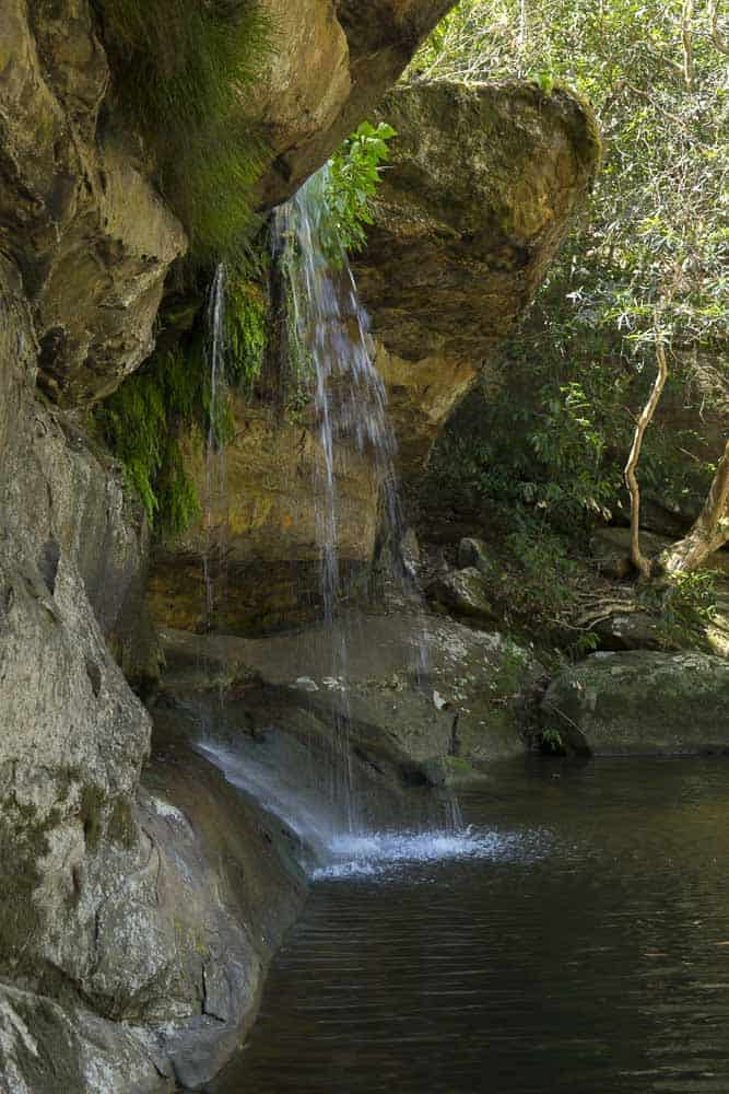 irrawong waterfalls sydney walks