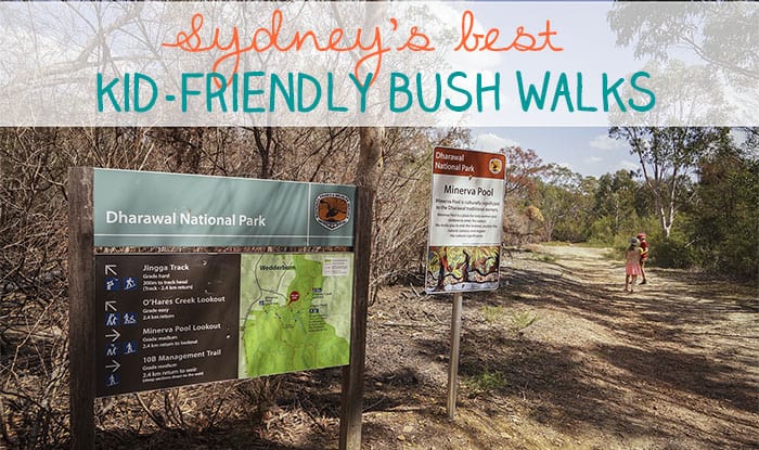 kid friendly bush walks sydney