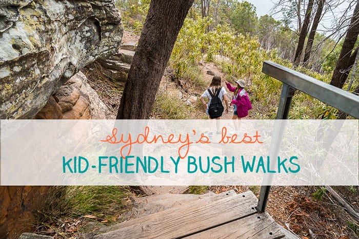 best bush walks