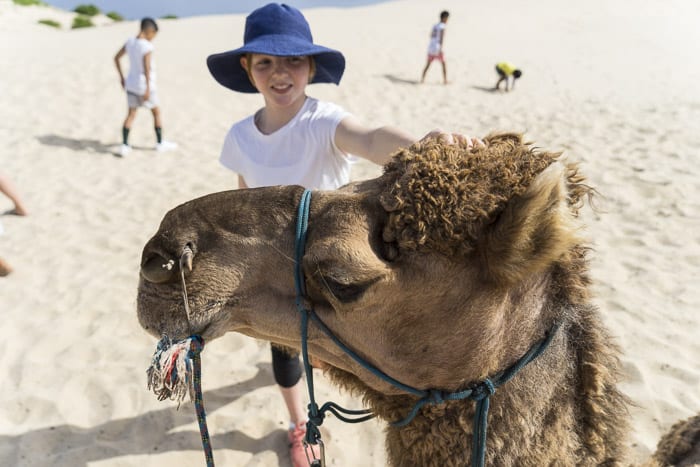 camels port stephens with kids things to do 