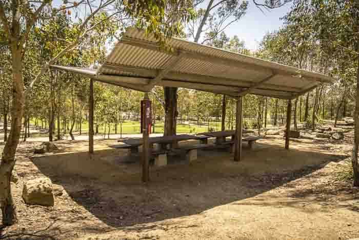 Lizard log park playground shelters
