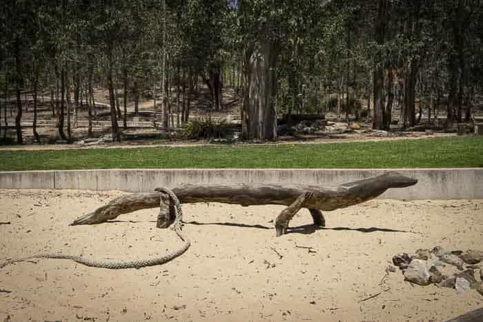 Lizard log park playground 