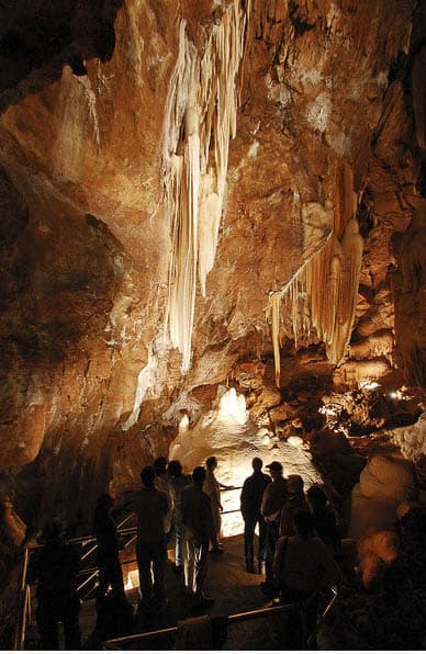Jenolan Caves Dest NSW