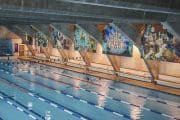 Cook + Phillip Park Aquatic Centre: Family Friendly Pool in Central Sydney