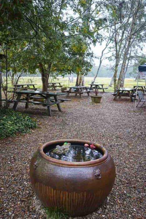 outdoor tables  Megalong Valley Tea Rooms