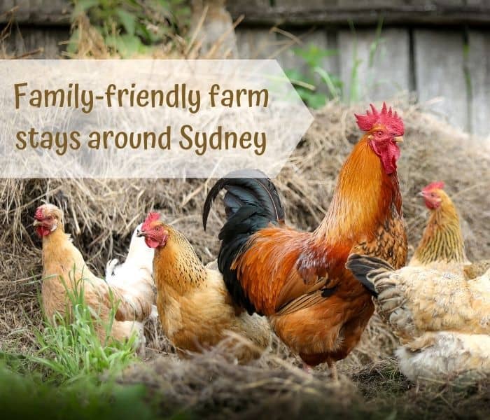 Family friendly farm stays around Sydney
