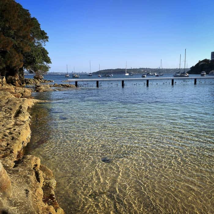 Little Manly Cove 4