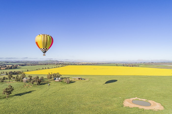 Canola and ballooning over Cowra