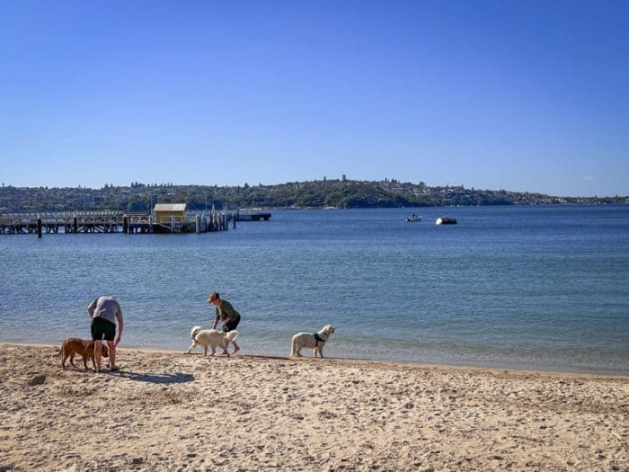 Clifton Gardens dogs beach