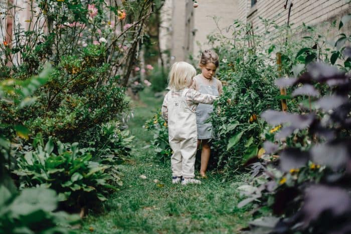 IMPROVING YOUR BACKYARD FOR YOUR KIDS