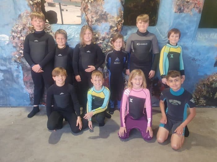 Irukandji Shark Ray Encounters Hello Sydney Kids