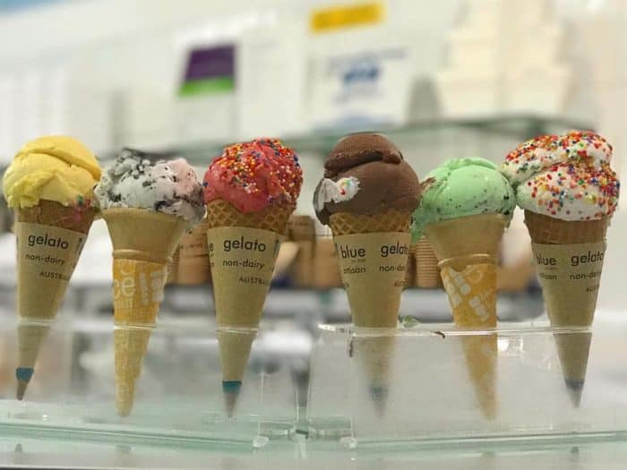 gelato blue newtown sydney ice cream paces for kids