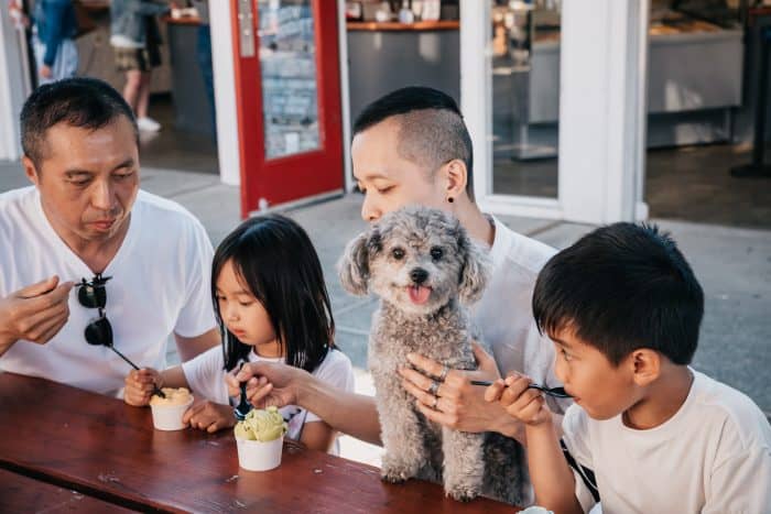 ice cream places kids in sydney