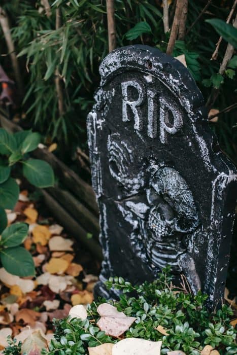 Prepare for a Halloween haunt-fest with these eerily fantastic home decoration ideas