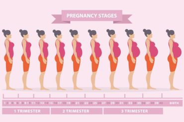 Pregnancy Week-by-Week Guide